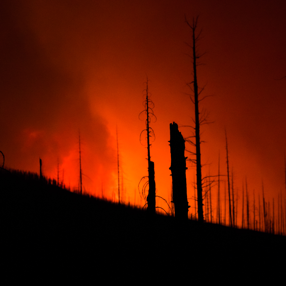 Another Fire Season - Devin Layne